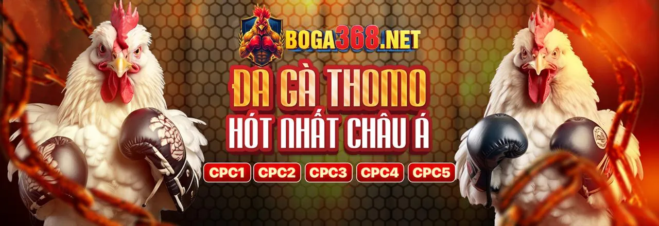 Sân vận động tràn ngập ánh sáng với hình ảnh logo ok222 và các cầu thủ đang thi đấu, thể hiện sự sôi động của cá cược thể thao trực tuyến